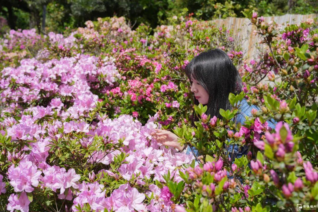惊艳！福州鼓岭又上新！