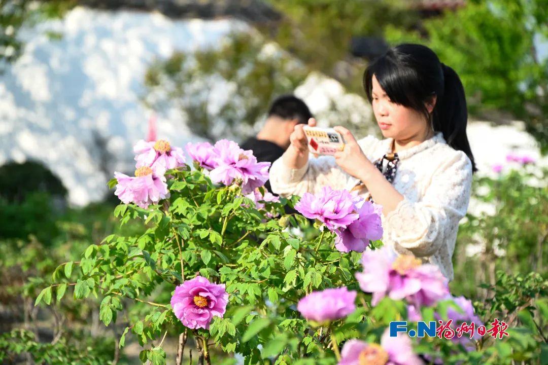 倒计时！福建人抓紧做这件事！