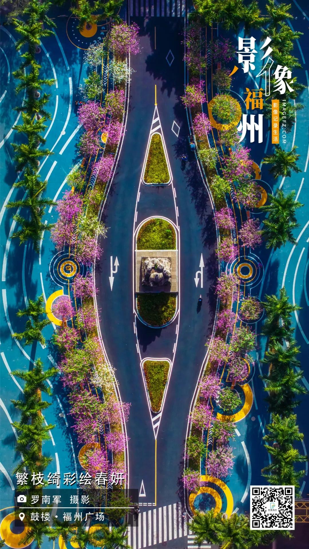 影像福州｜繁枝绮彩绘春妍