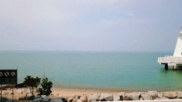 微视频｜携手发展的好伙伴