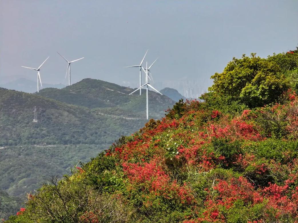 红了！点燃福州的春天！