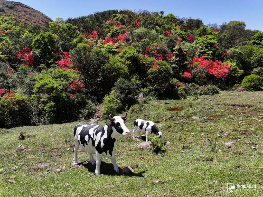 红了！点燃福州的春天！