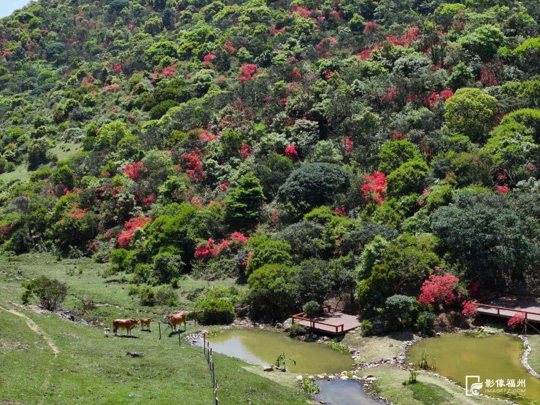 红了！点燃福州的春天！