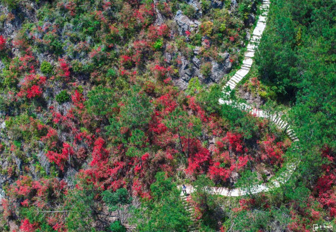 红了！点燃福州的春天！