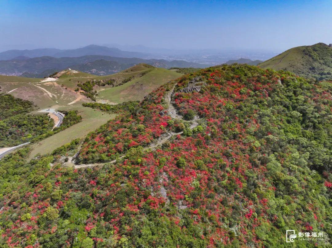 红了！点燃福州的春天！