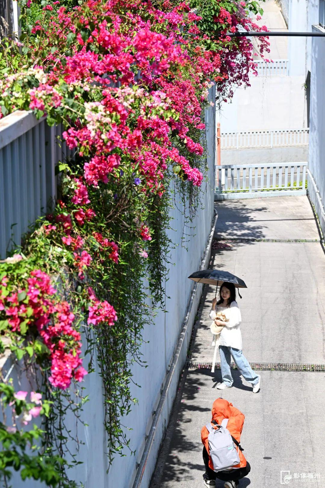 红了！点燃福州的春天！