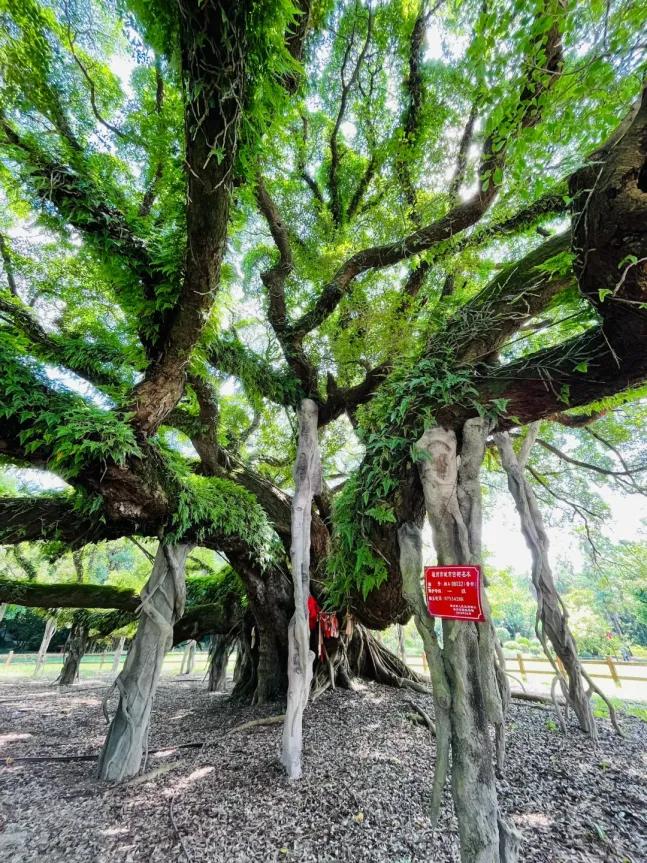 出发！跟着周华健开启福州的奇幻之旅