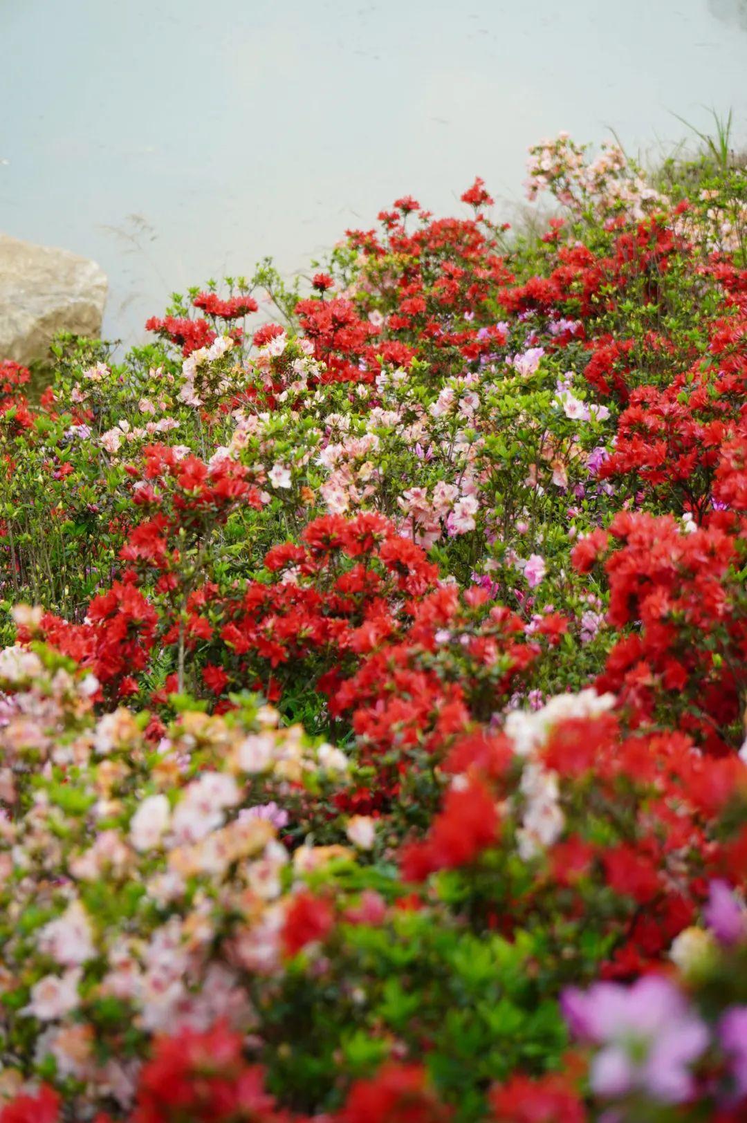 出发！跟着周华健开启福州的奇幻之旅