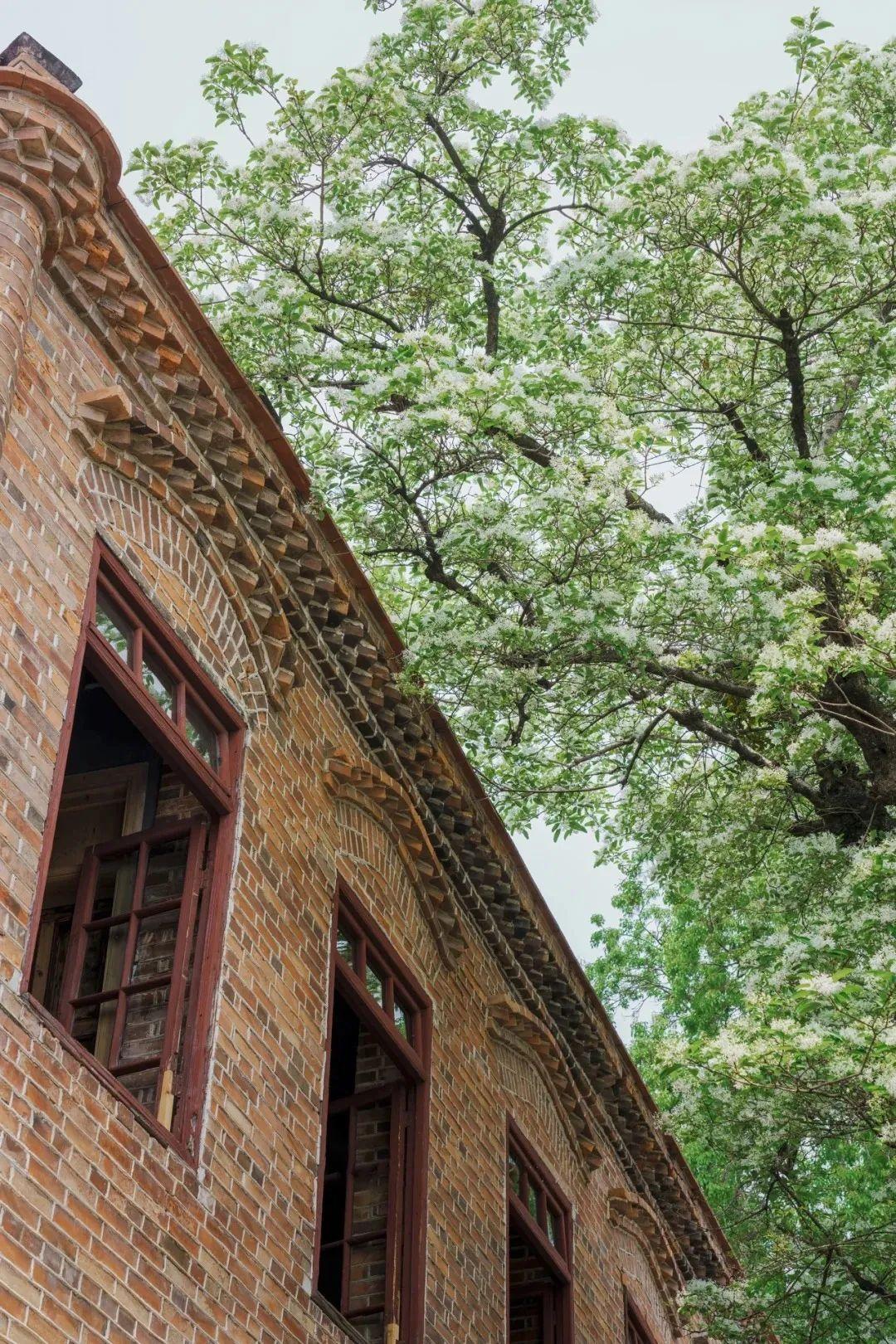 出发！跟着周华健开启福州的奇幻之旅