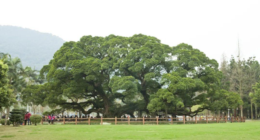 出发！跟着周华健开启福州的奇幻之旅