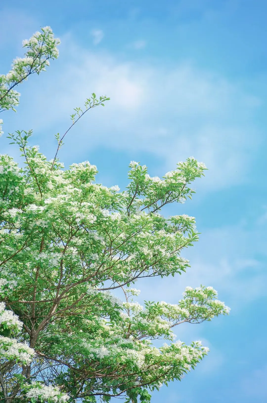 出发！跟着周华健开启福州的奇幻之旅