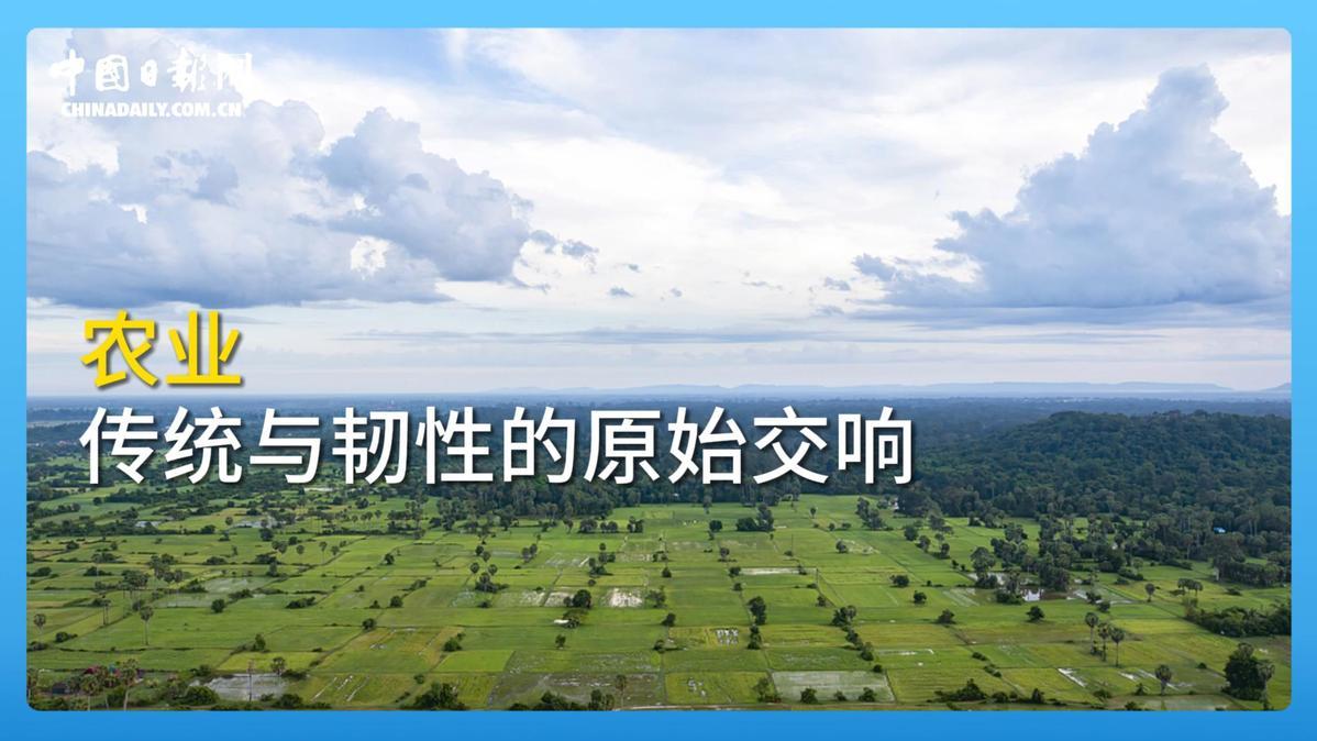 跟着习主席看世界 | 走进柬埔寨：首个同中国签署命运共同体行动计划的国家