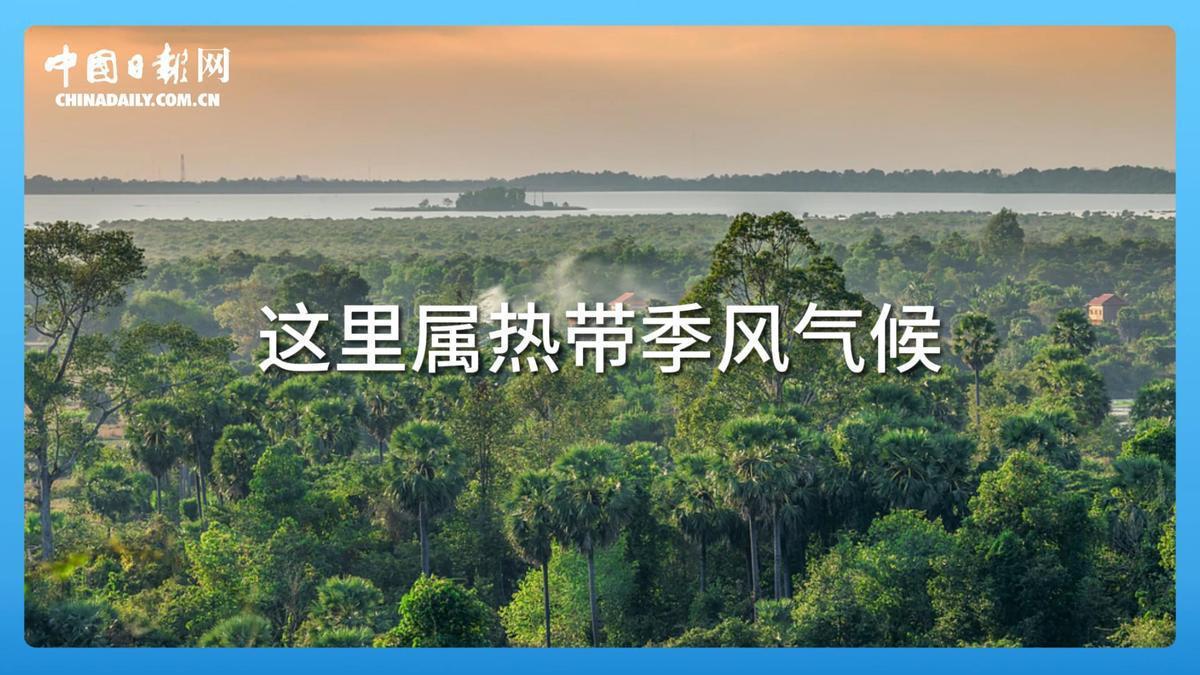 跟着习主席看世界 | 走进柬埔寨：首个同中国签署命运共同体行动计划的国家