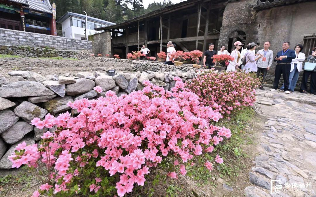 出圈！福州这个“藏”在深山里的村庄！
