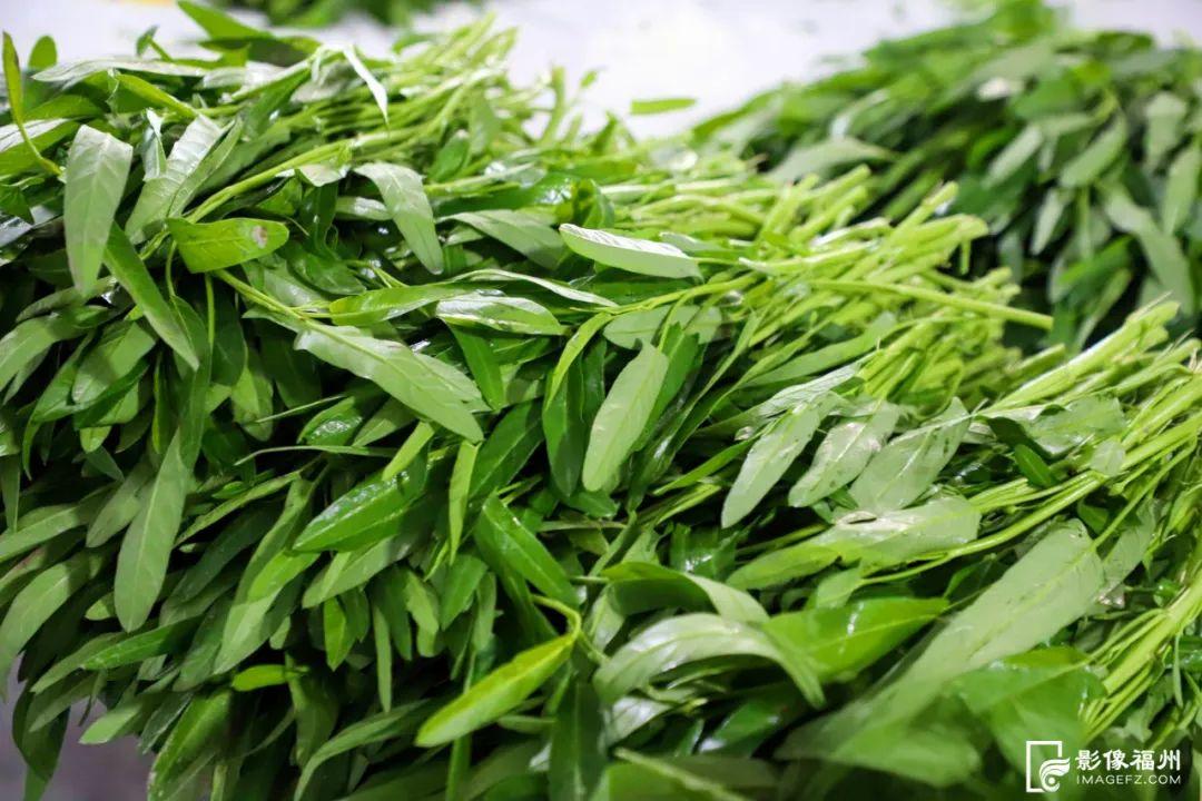 6000万只！大量上市！福州人有口福了！