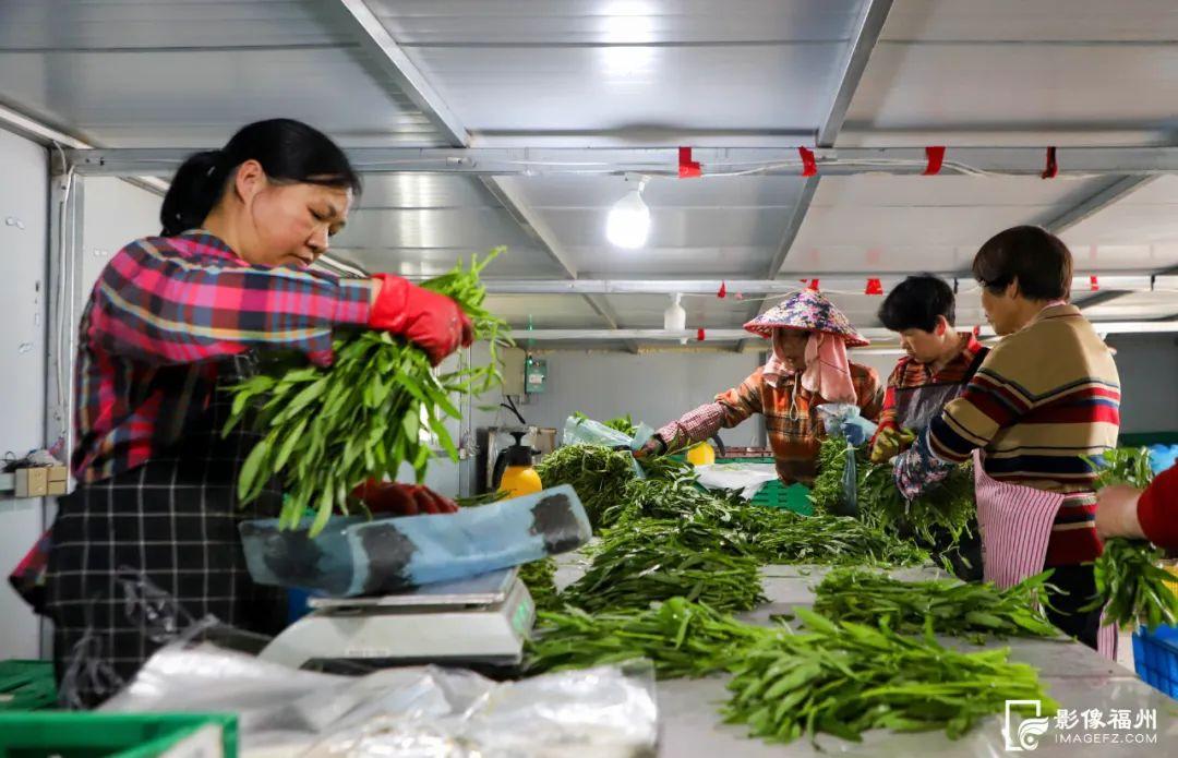 6000万只！大量上市！福州人有口福了！