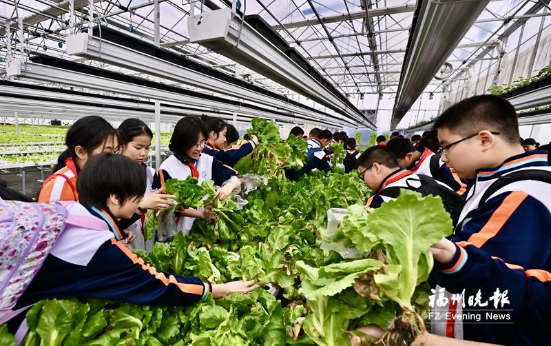 行走的思政课！福州第二十五中学这群学生收获满满