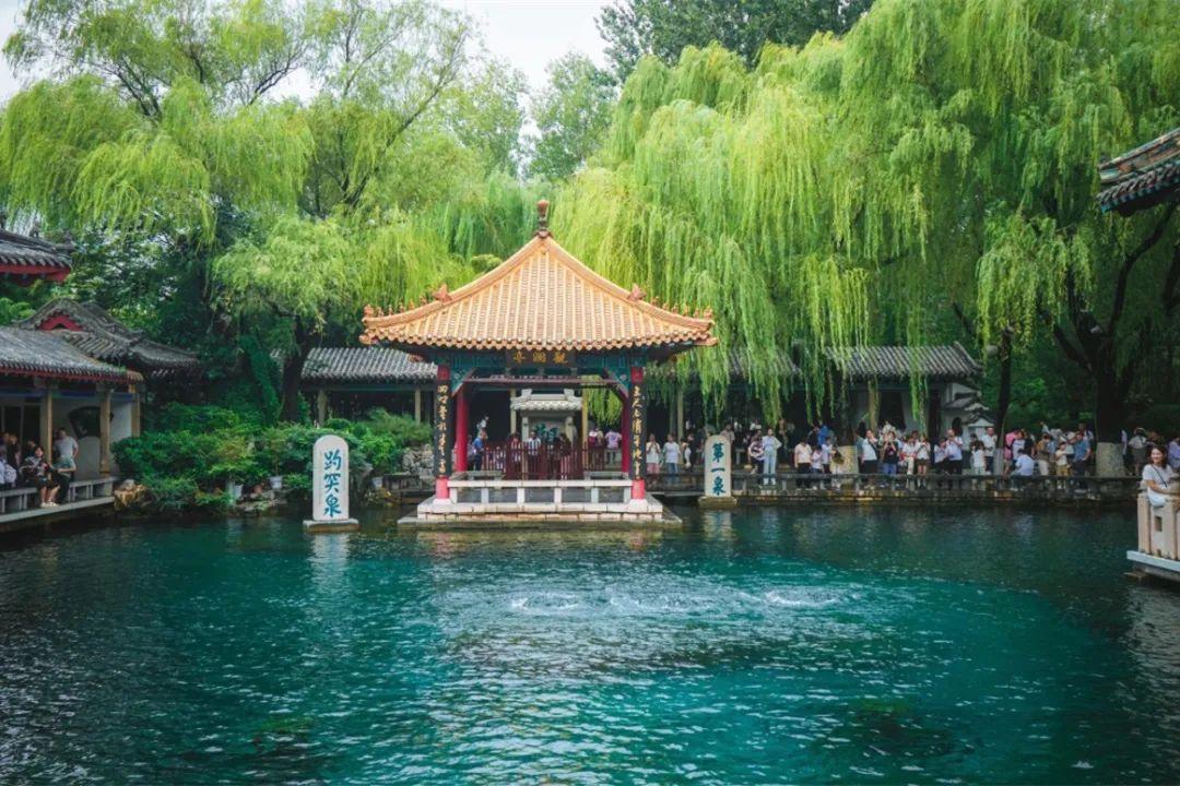 全国瞩目！它们乘“峰”而来！