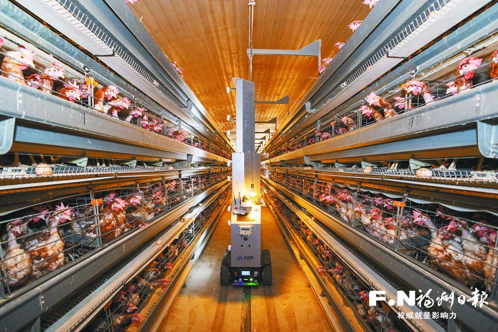 闽江潮涌处 数字共春生