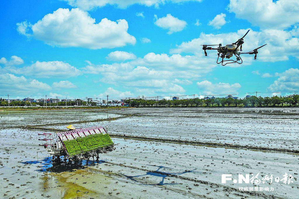闽江潮涌处 数字共春生