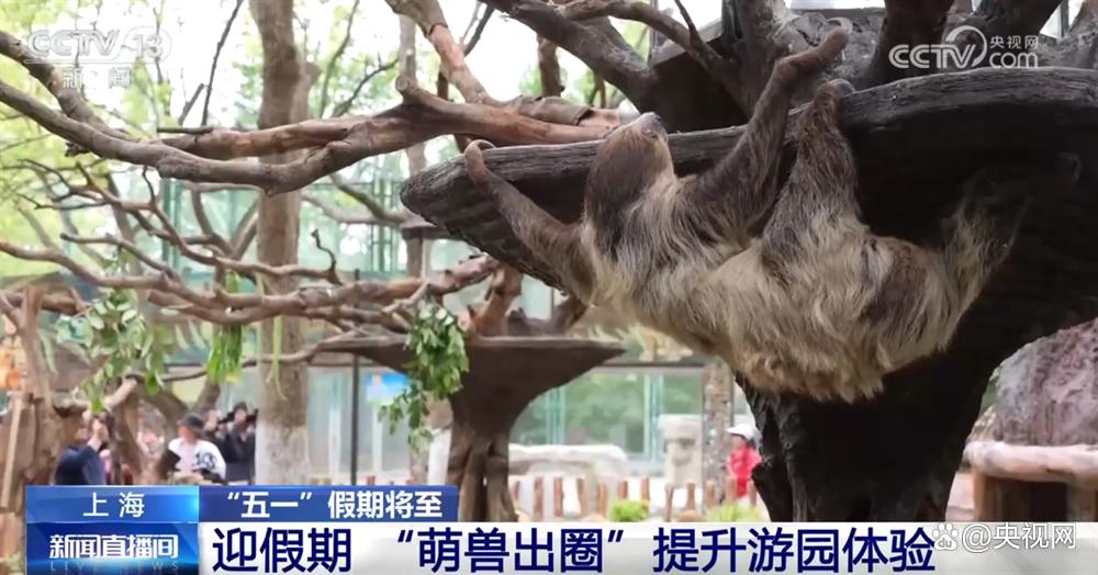 新爆点、新业态、新体验、新场景 “五一”假期文旅市场热度攀升