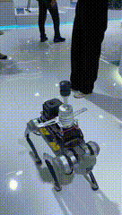 智能升级，福建的机器人在干这些事……