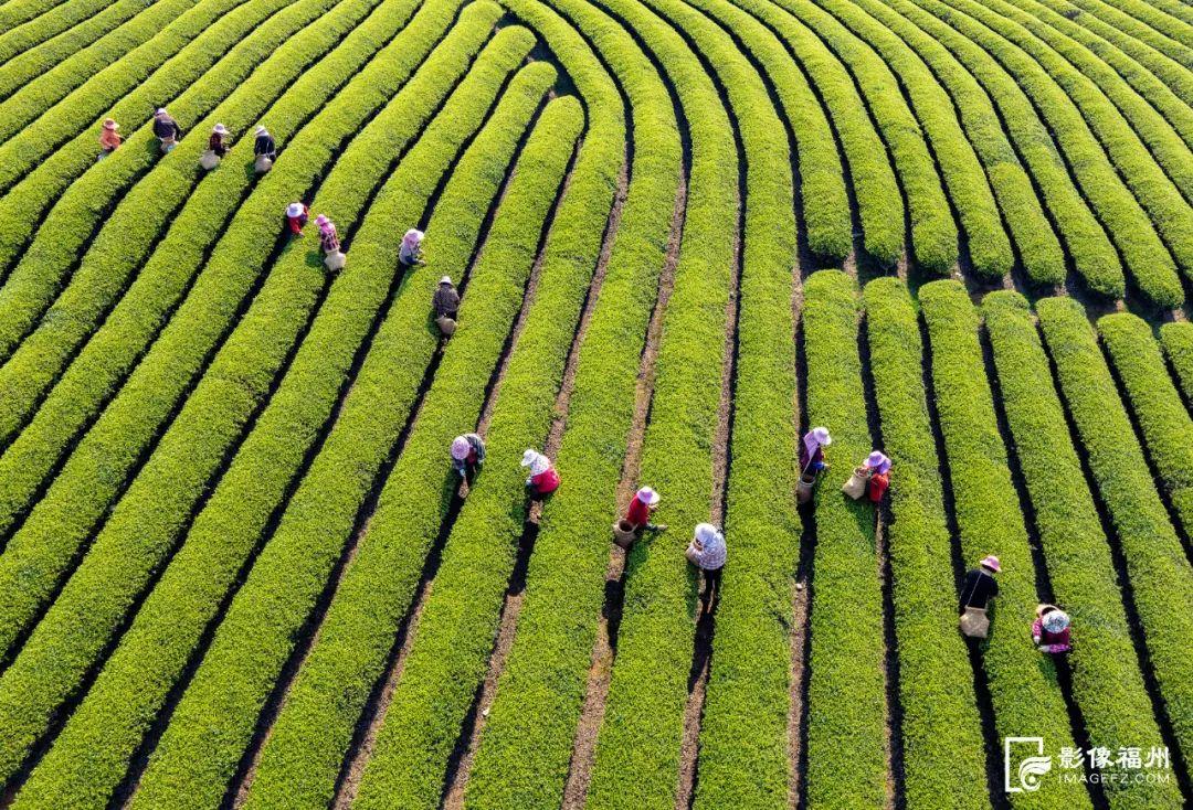 “5”们“1”起游福州，拍大片！