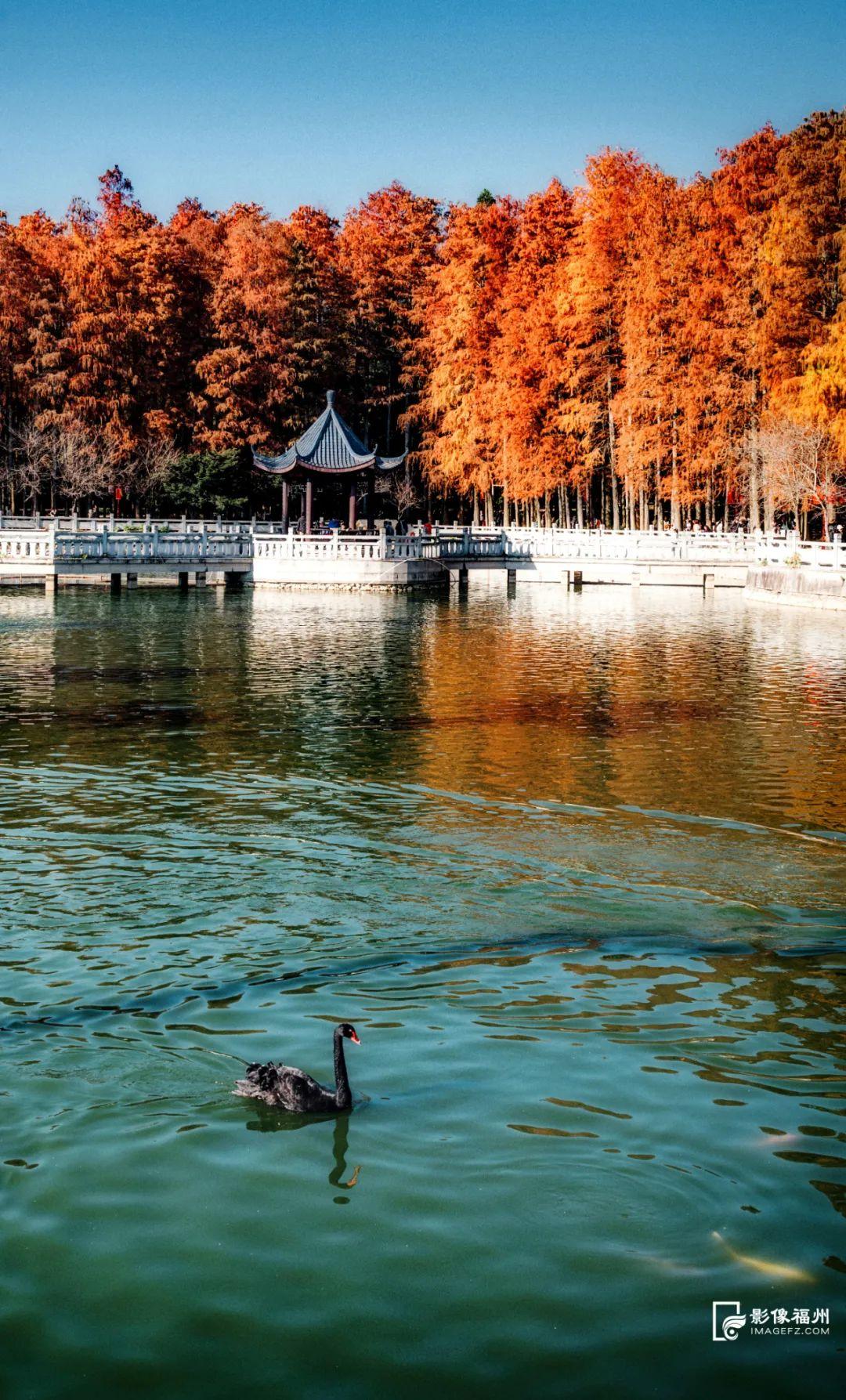 “5”们“1”起游福州，拍大片！