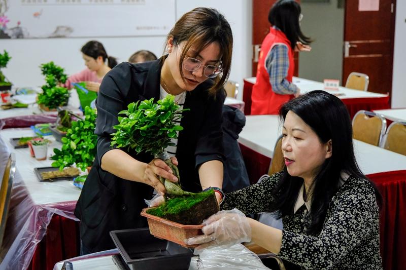 “根植榕荫传薪火 青春妙笔绘福韵”市直机关五四青年节主题活动举办
