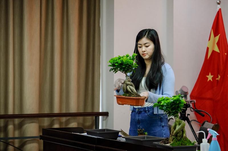 “根植榕荫传薪火 青春妙笔绘福韵”市直机关五四青年节主题活动举办