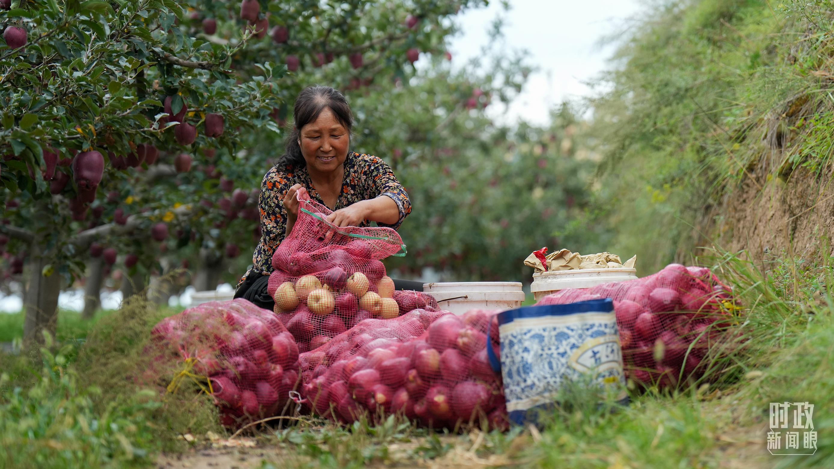 时政新闻眼丨“十五五”如何谋篇布局？习近平在这场座谈会上作出战略指引