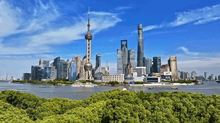 时政微纪录丨习近平总书记上海行