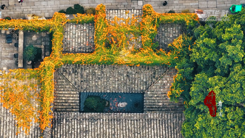 千城百县看中国｜福州鼓楼：花开古城 满城芳菲