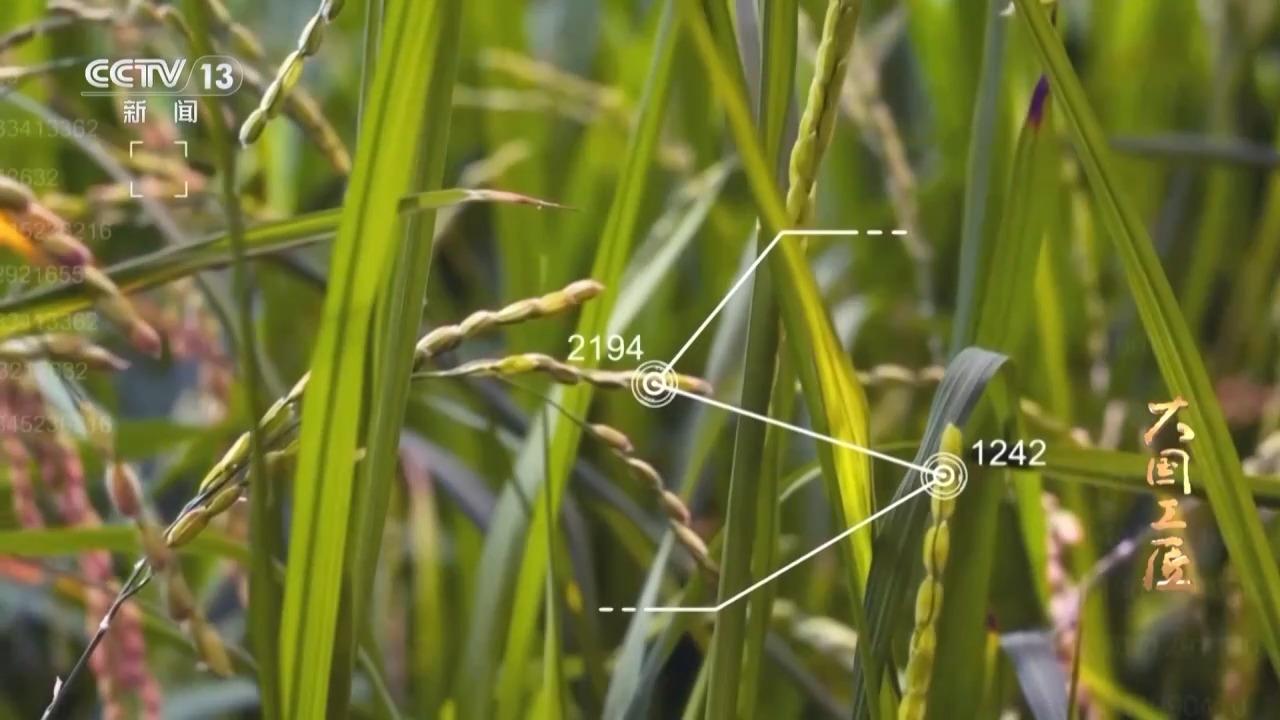 国家队一出手就是超强实力！上百人为中国AI芯写120万行代码