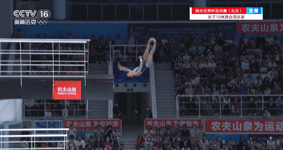 陈芋汐、全红婵包揽跳水世界杯总决赛女子十米台冠亚军