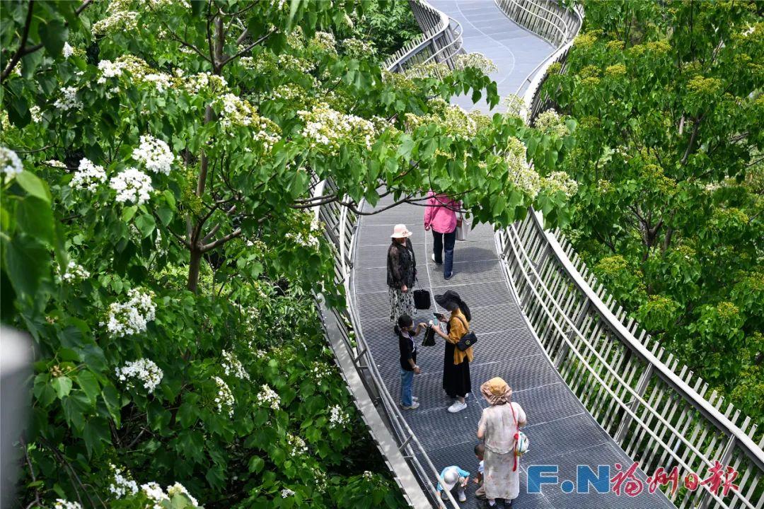 人气旺旺旺！“五一”假期第4天，福州又被央媒关注了！