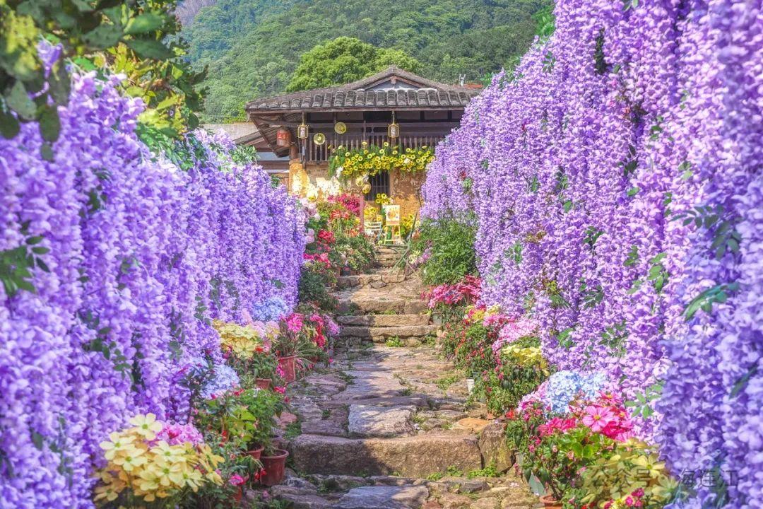 人气旺旺旺！“五一”假期第4天，福州又被央媒关注了！