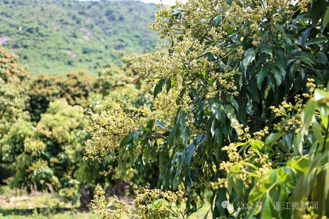 人气旺旺旺！“五一”假期第4天，福州又被央媒关注了！