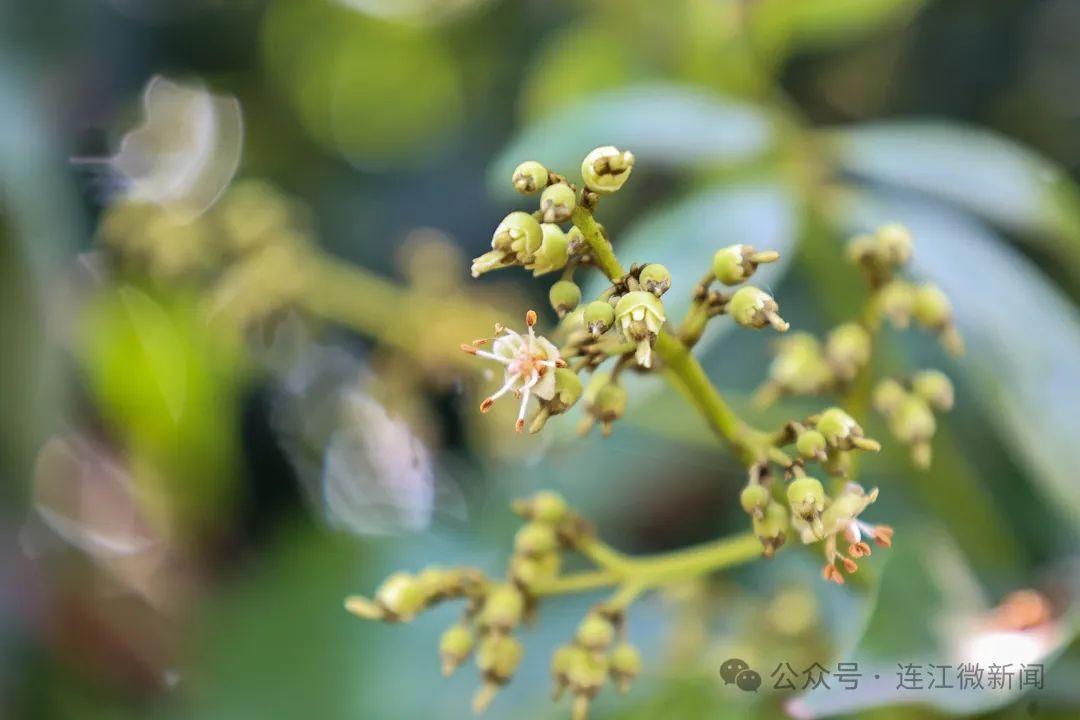 人气旺旺旺！“五一”假期第4天，福州又被央媒关注了！