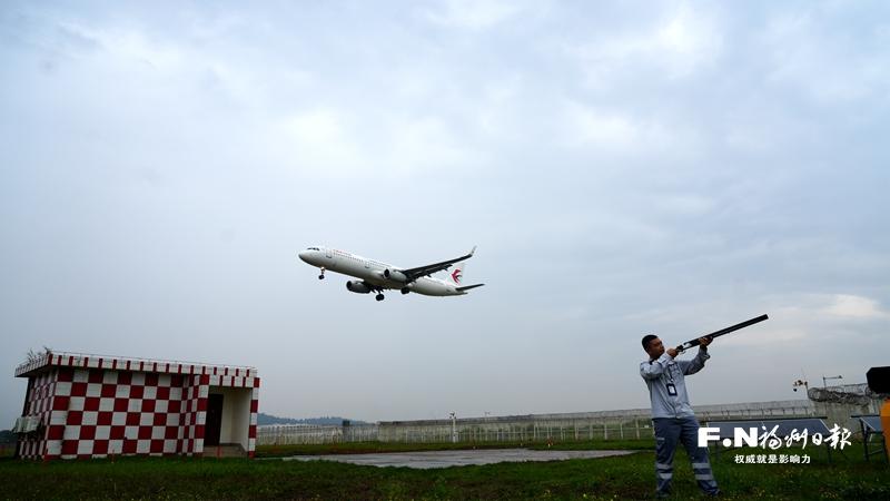 走近福州长乐机场驱鸟员：赶走鸟儿 护卫航班