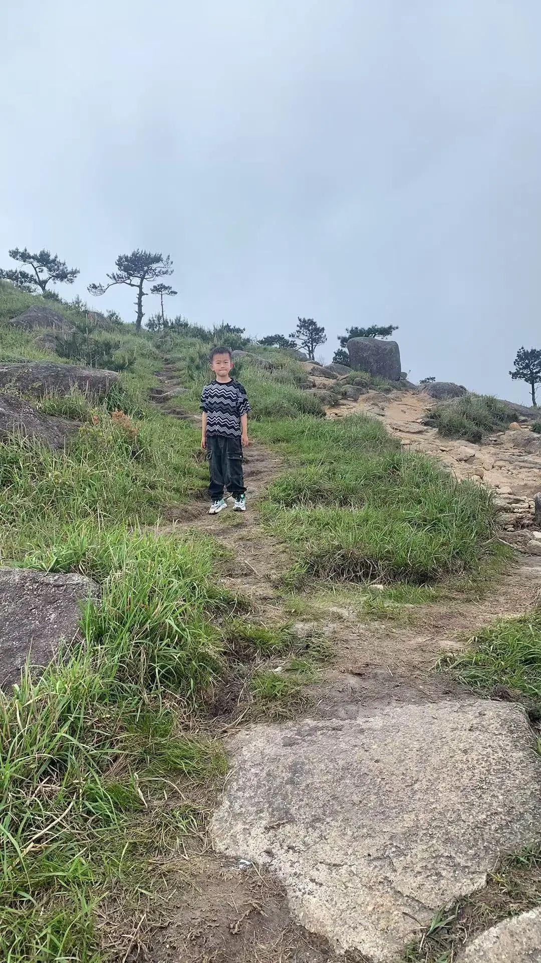 福建8岁男童在山顶走失！已失踪24小时，通宵搜救无果