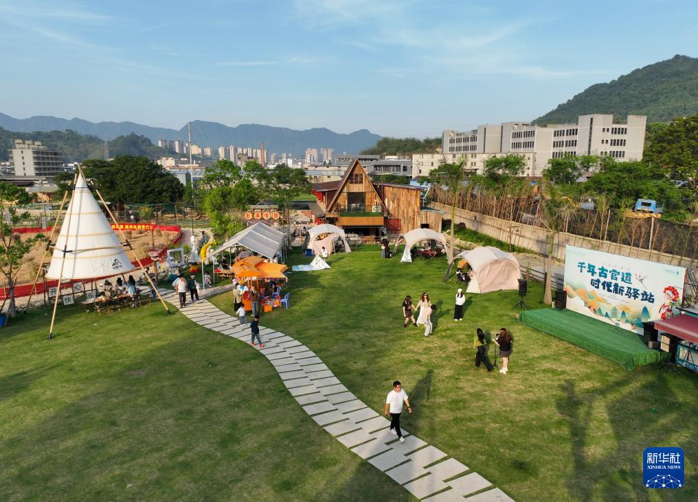 “90后”青年让荒地变成文艺小院