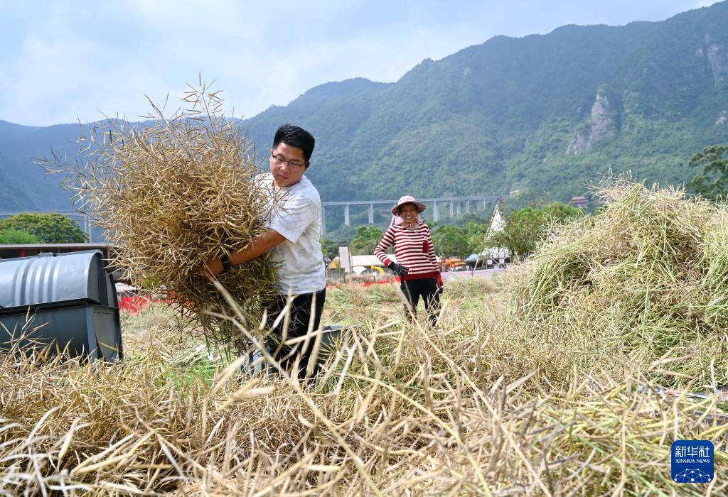 “90后”青年让荒地变成文艺小院