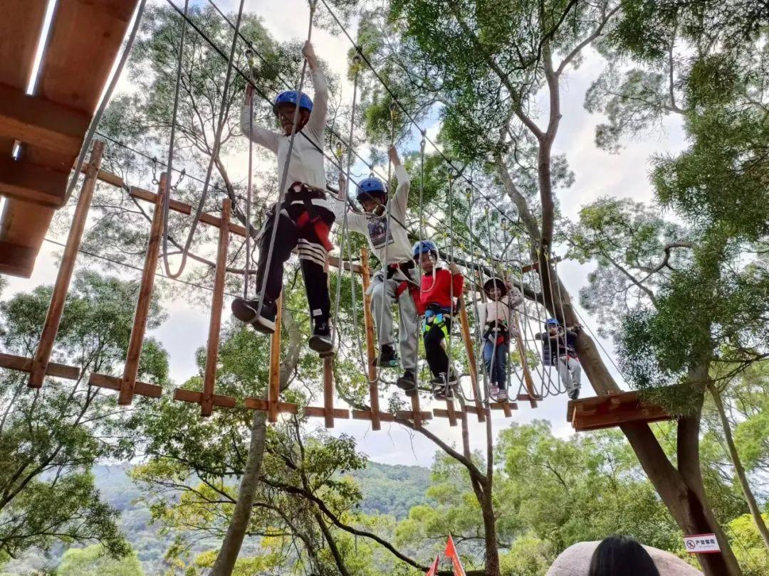 超90万人次！长乐，太火爆！