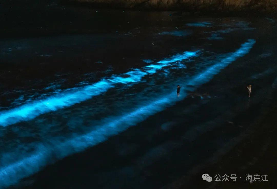 “荧光冲浪”！福州这里“蓝眼泪”爆发！将持续到6月