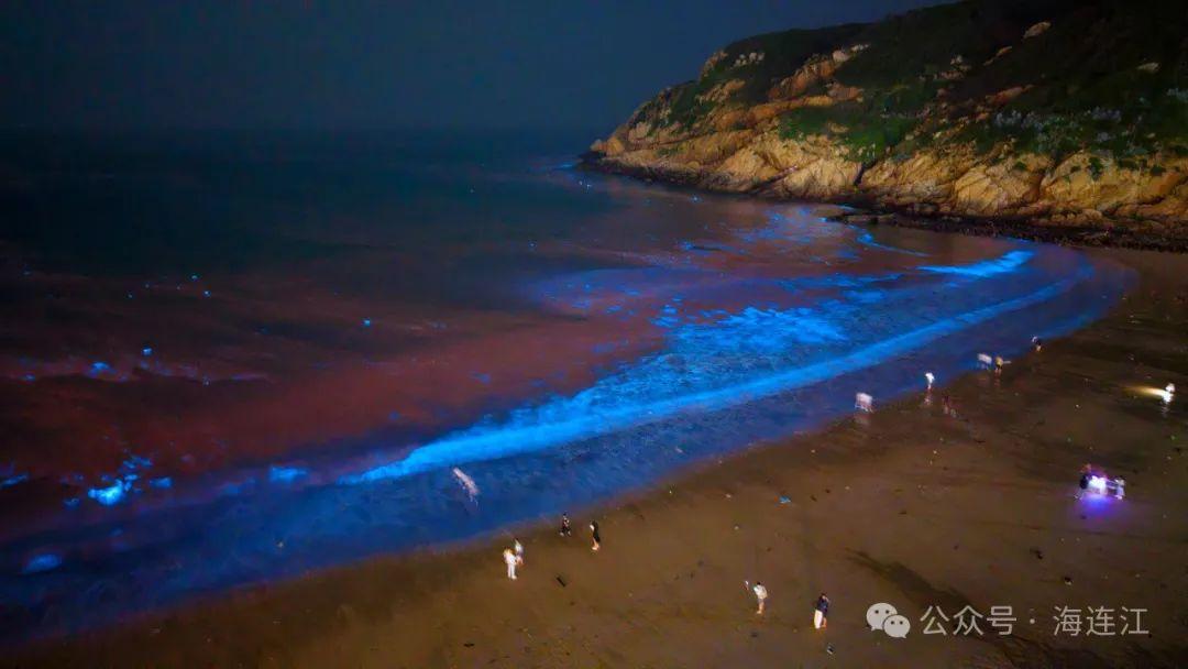 “荧光冲浪”！福州这里“蓝眼泪”爆发！将持续到6月