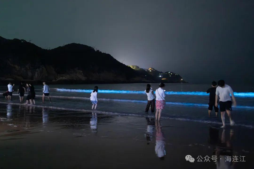 “荧光冲浪”！福州这里“蓝眼泪”爆发！将持续到6月