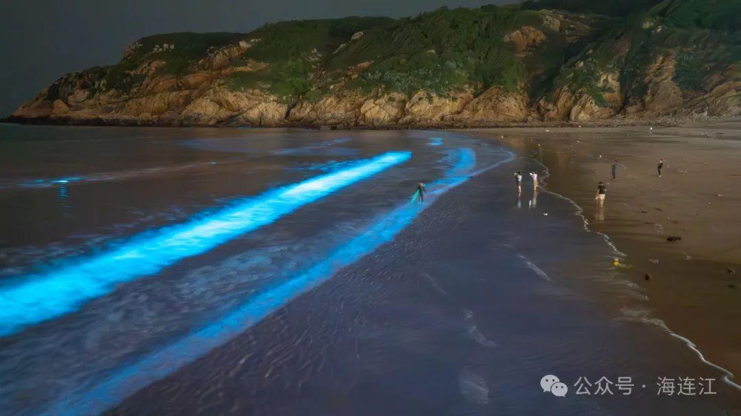 “荧光冲浪”！福州这里“蓝眼泪”爆发！将持续到6月