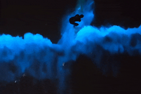 “荧光冲浪”！福州这里“蓝眼泪”爆发！将持续到6月