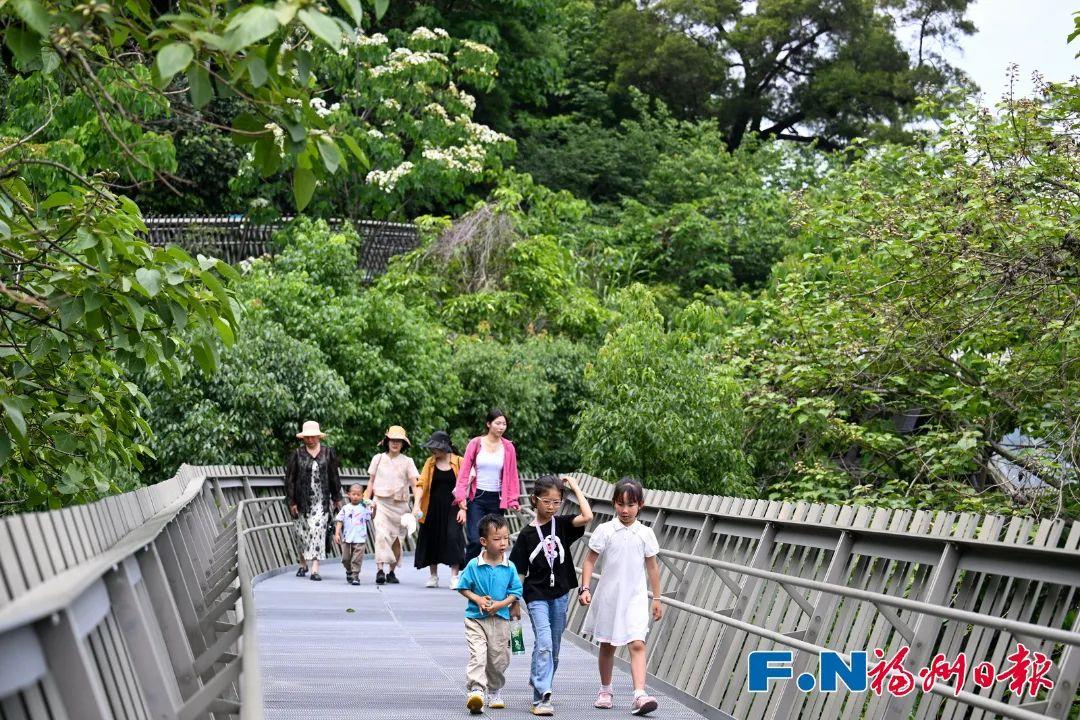 十款锅边、竹人舞梦……“五一”假期第5天！闽都文化太香了！